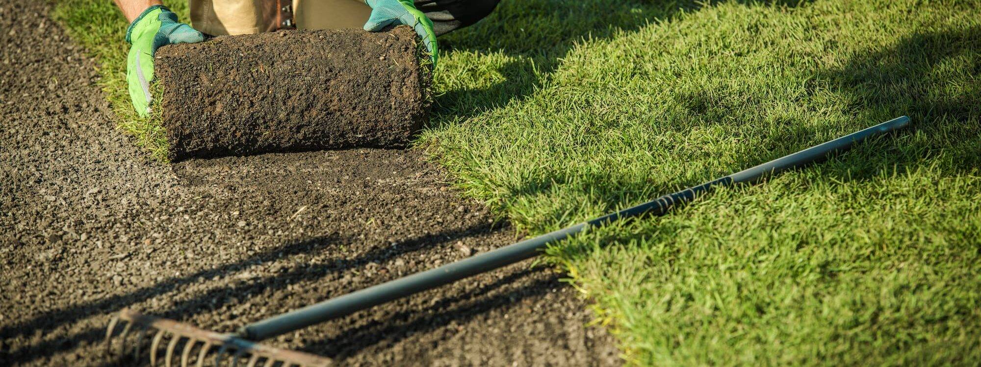 Comment préparer son gazon pour un printemps verdoyant ? Guebwiller