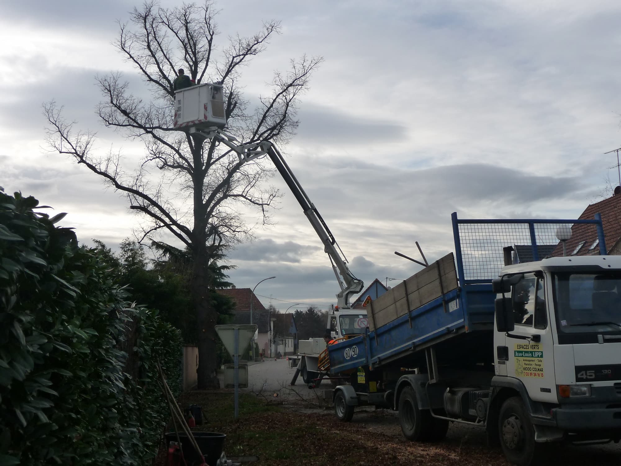 ENTRETIEN de vos espaces verts, TAILLE des arbres autour de Sundhoffen et aux environs de Colmar Riedisheim