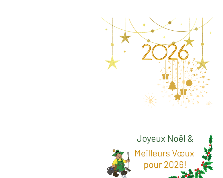 CONGES ANNUELS DE NOEL Rixheim