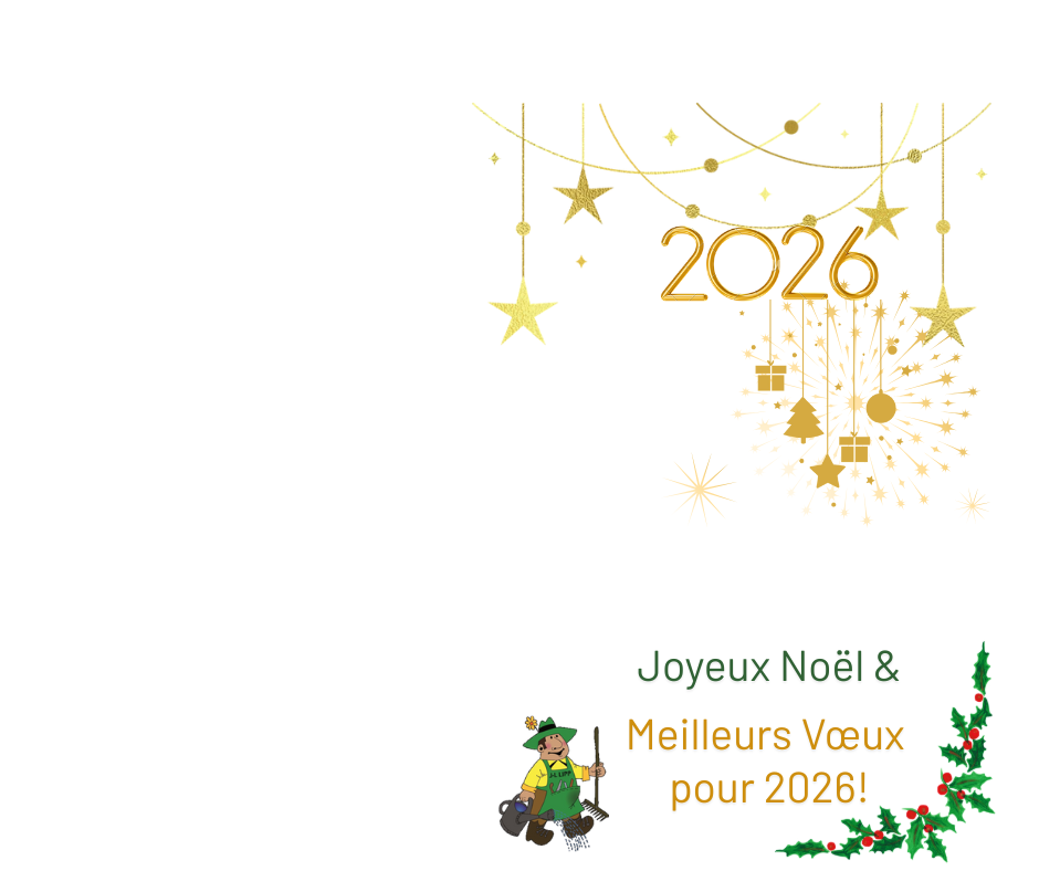 CONGES ANNUELS DE NOEL Rixheim